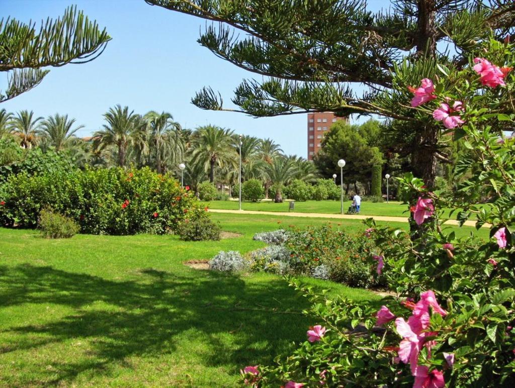 27-3- Комната С Балконом В Квартире Аликанте Для 5 Человек Alicante Bagian luar foto